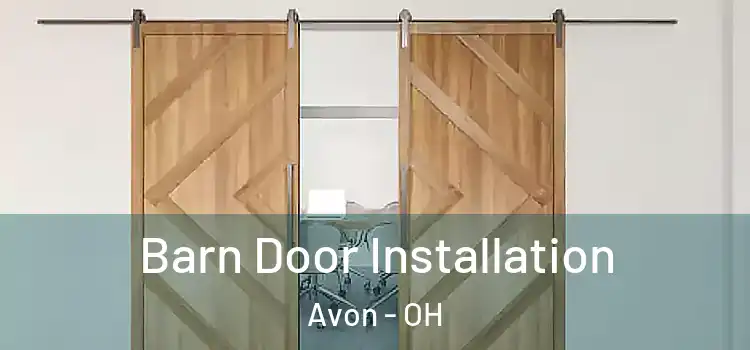  Barn Door Installation Avon - OH