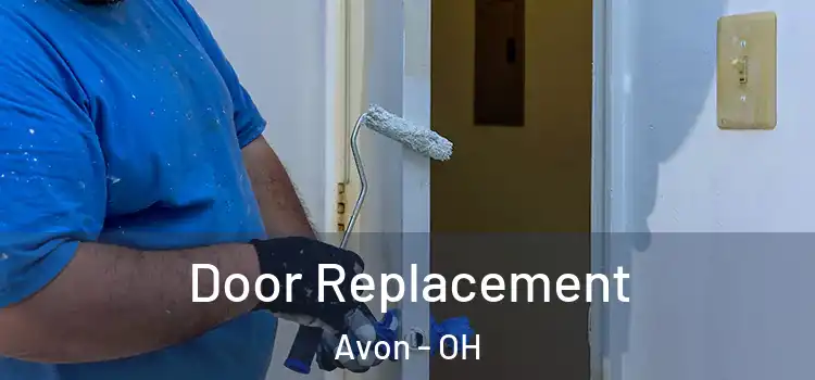  Door Replacement Avon - OH