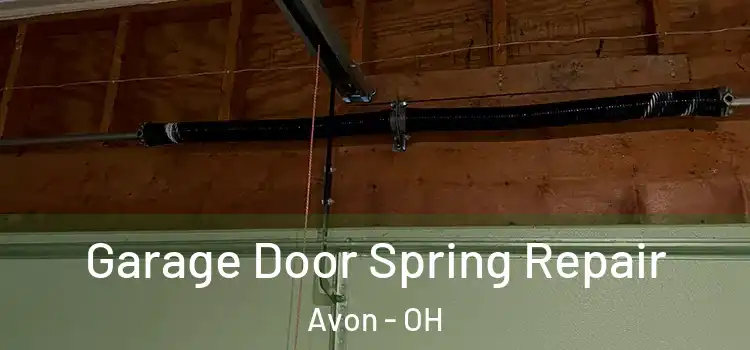  Garage Door Spring Repair Avon - OH