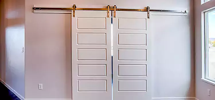 Glass Barn Door with Installation Hardware Kit Avon