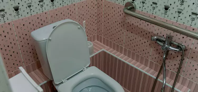 Meeting Diverse Needs With Accessible Restroom Solutions in Avon, OH