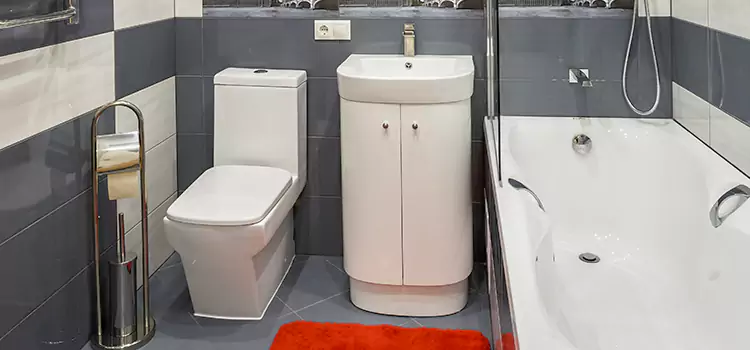 Hansgrohe Shaving Mirror Avon