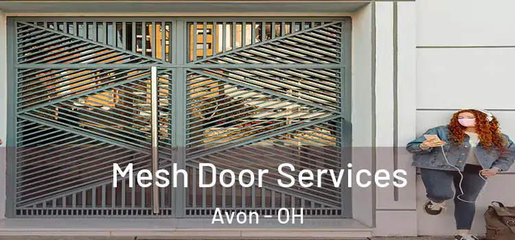Mesh Door Services Avon - OH
