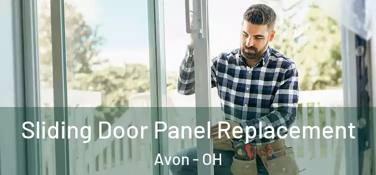  Sliding Door Panel Replacement Avon - OH
