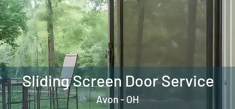 Sliding Screen Door Service Avon - OH